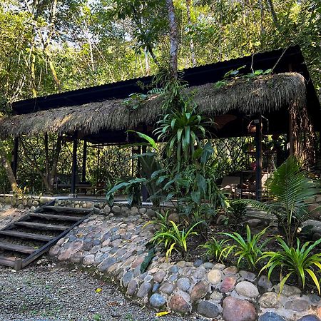 Kuyana Amazon Lodge Archidona Exteriör bild