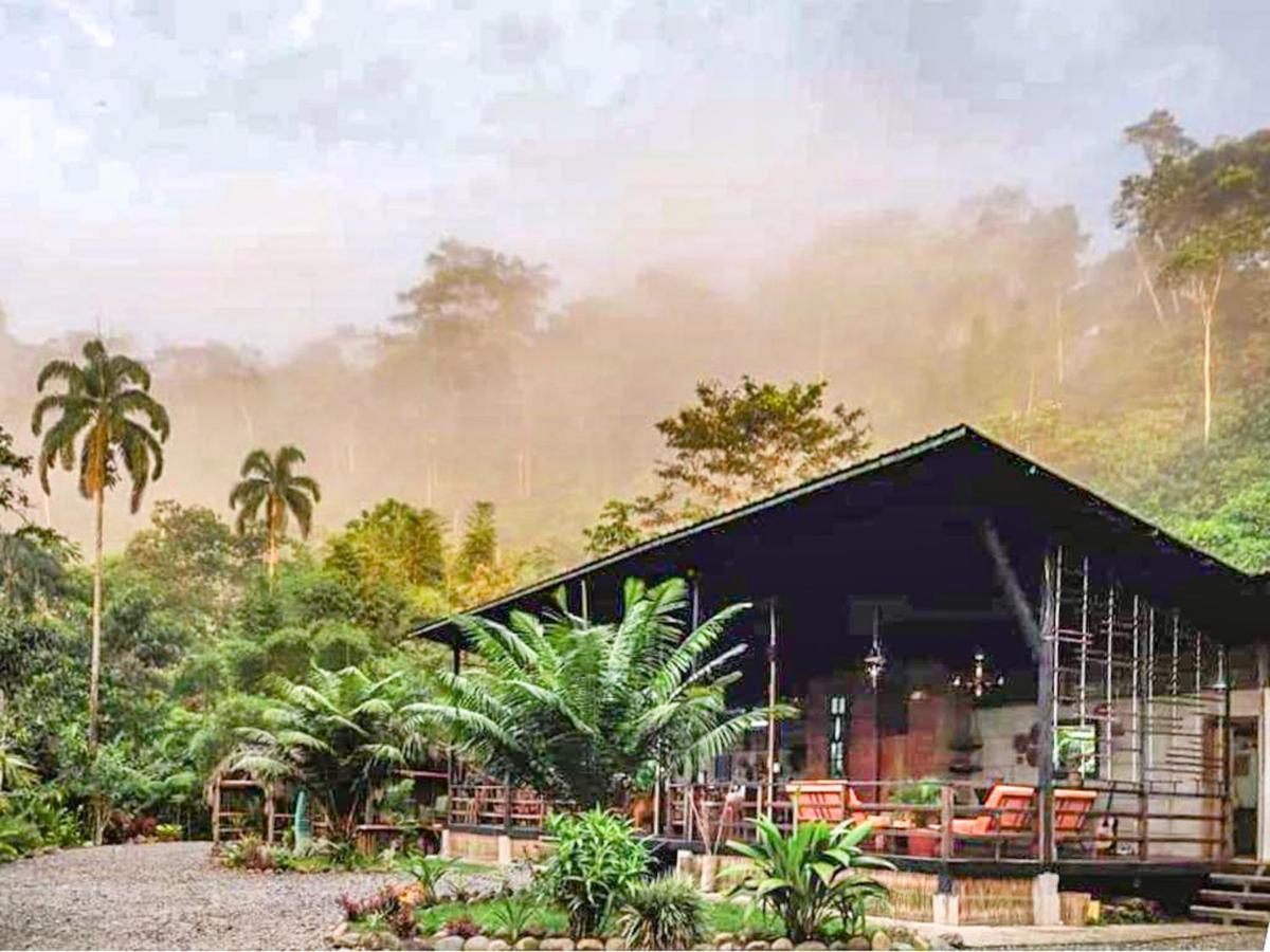 Kuyana Amazon Lodge Archidona Exteriör bild